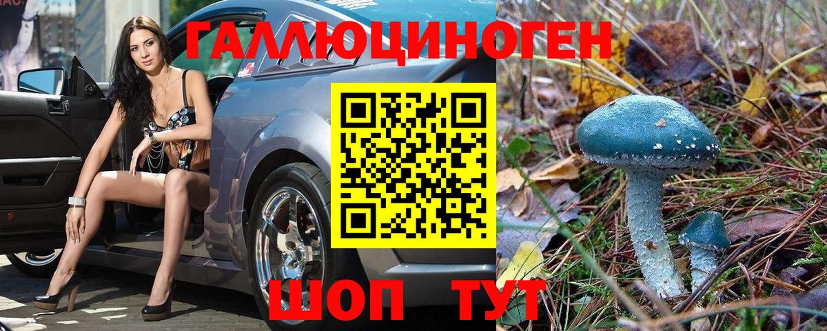 Галлюциногенные грибы мухоморы Новосибирск